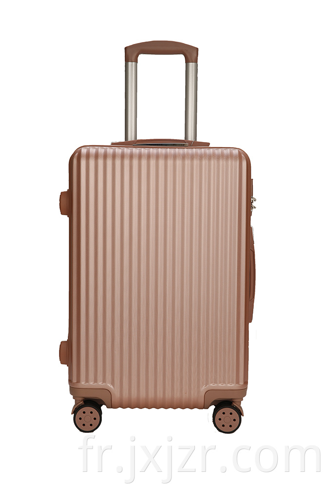 Fashion Stripe Luggage Case
